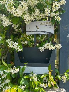 La La Home - Avezzano - 8