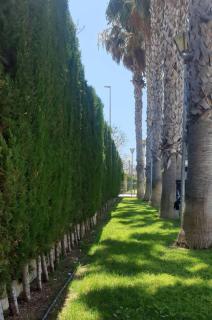 Apartamento de Lujo Cerca de la Playa EL CAMPELLO - 9