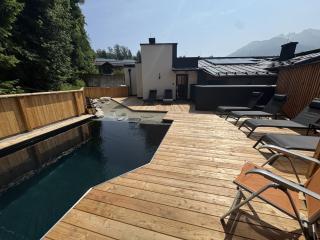 Das Goldjuwel - Luxury Apartments with private Spa - Goldegg - 4