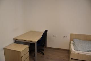 LOT Home - 1