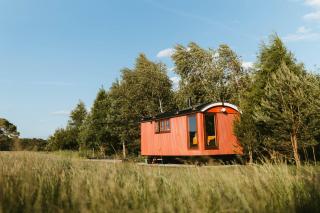 Sycamore and Stars Off Grid Retreat - Grasby - 0