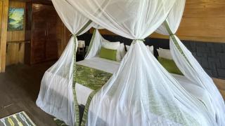 Hotel Amazon by On Vacation - Leticia - 5