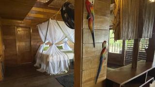Hotel Amazon by On Vacation - Leticia - 2