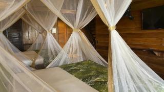 Hotel Amazon by On Vacation - Leticia - 7