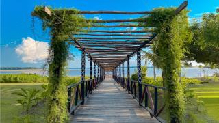 Hotel Amazon by On Vacation - Leticia - 8