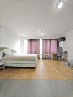 charmante studio 45m2 - Antwerpen - 3