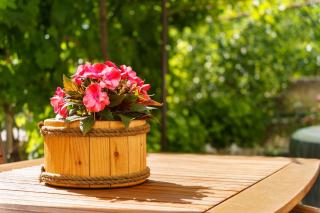 Jacuzzi Garden Retreat - Bribir - 0