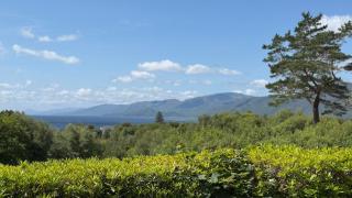 1 Bedroom Cabin with Mountain & Loch Views - Quiet Location between Glencoe & Ben Nevis - Corran - 6