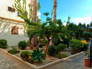 Flamenca sun - Orihuela-Costa - 7
