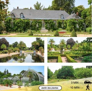 Charming Plant Studio - Rouen - 5