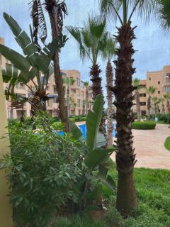 Tamaris Green - Casablanca - 9