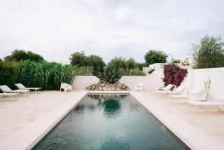 Oltre gli Ulivi - Ostuni - 0