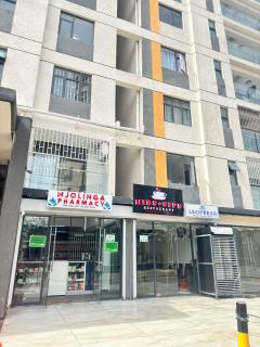 Executive One Bedroom Apartment - Nairobi - 6