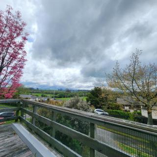 Spacious Family Stay - Rotorua - 8