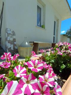 Stanze nel verde - Porto Cesareo - 9
