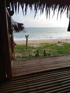 Blue Moon Bungalow - 4