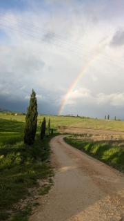 The Rose - Colle Malamerenda - 0