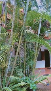 Thiwiscom Guest Inn - Unawatuna - 4
