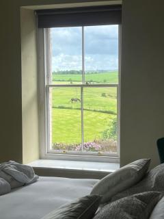 Northumberland Hot Tub Haven for 10 in 5 ensuite bedrooms - Chatton - 3