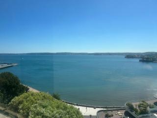 Clifftop Apartment Panoramic Seaview Penthouse Apartment sleeps 8 - Torquay - 4