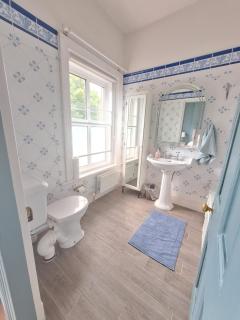 Elegant Seaside 3 BR Home - Blackrock - 1