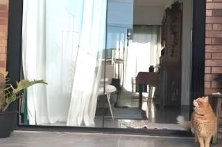 Casa aconchegante e com quintal privativo - Matinhos - 6