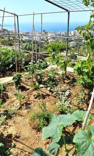 Modern Elegance with Breathtaking Panoramic Views - 6