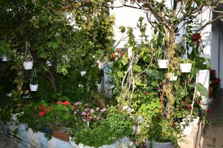 Suat butik otel - Bodrum - 4