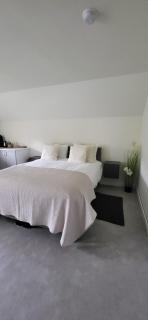 Comfort B&B - Dalerveen - 8