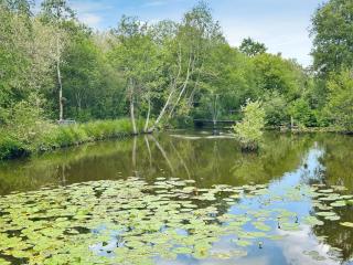 Willow End - Alverstone - 9