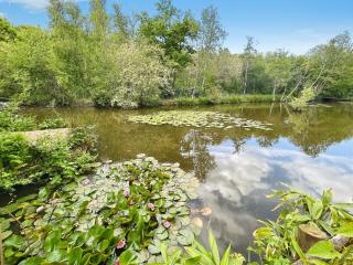Willow End - Alverstone - 8
