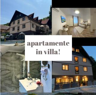 Silvan Villa - Apart - Sighişoara - 0