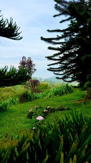 Riverview Bungalow in Cameron Highlands - Tanah Rata - 4