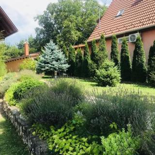 NOEL LELLE apartman - Balatonlelle - 5