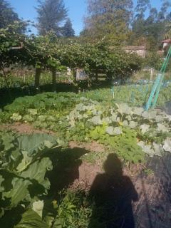 Charming Galician house - 6