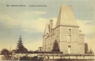Château de Bellevue - Appartement - Sainte-Cécile - 5