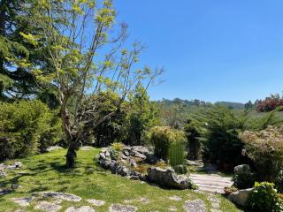 Pedra Oliveira - - 7