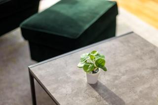 Modern Chiswick Apartment - Londra - 3