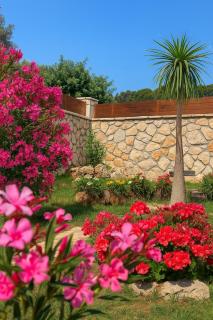 La Casa Del Sole - Agios Leon - 4