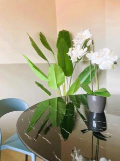 Green Suite 88 - Treviso - 3