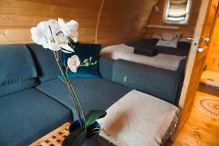 Cosy Cabin - Hallstahammar - 7