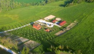 Le Dame Country House, Marche - Montegranaro - 9