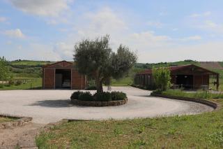 Le Dame Country House, Marche - Montegranaro - 6