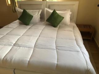 Albatina Place - - 9