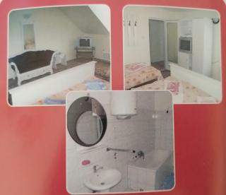 Pensiunea Turistica DIANA - 4