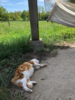 Le Mont Gapier - Vacances reposantes dans une authentique ferme - I - 9