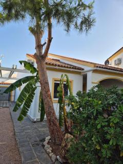 Bonito Apartamento independiente - El Verger - 9
