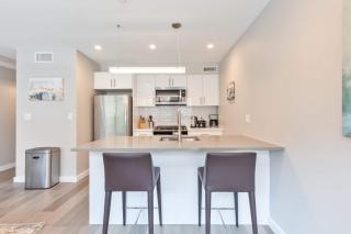 Luxury 2BR North End Retreat - Boston - 8