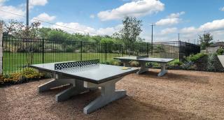 Modern Western 5BR Retreat! BMT SeaWorld Riverwalk Alamo - San Antonio - 5