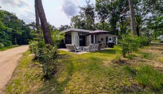 Boslodge Het Groene Hert met Hottub - Haarle - 0
